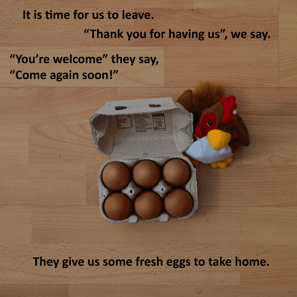 eggs in egg box